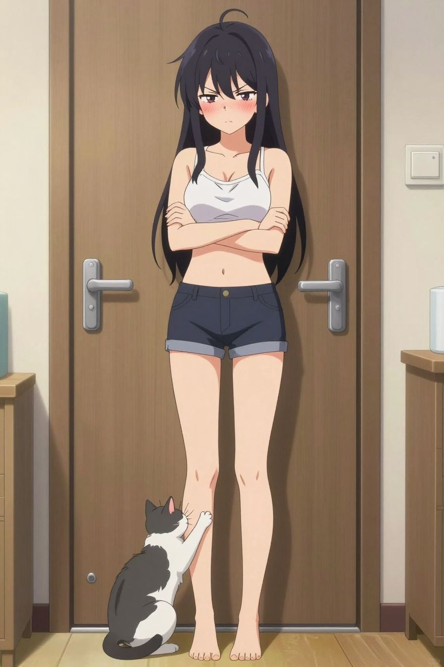 Anime Tsundere Neighbor